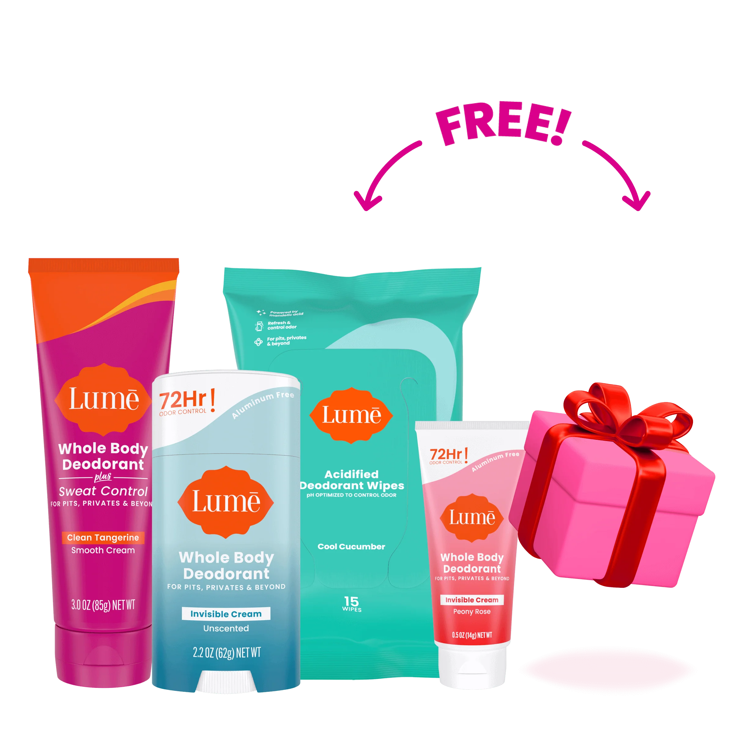 Holiday Starter Pack Item - Image 4