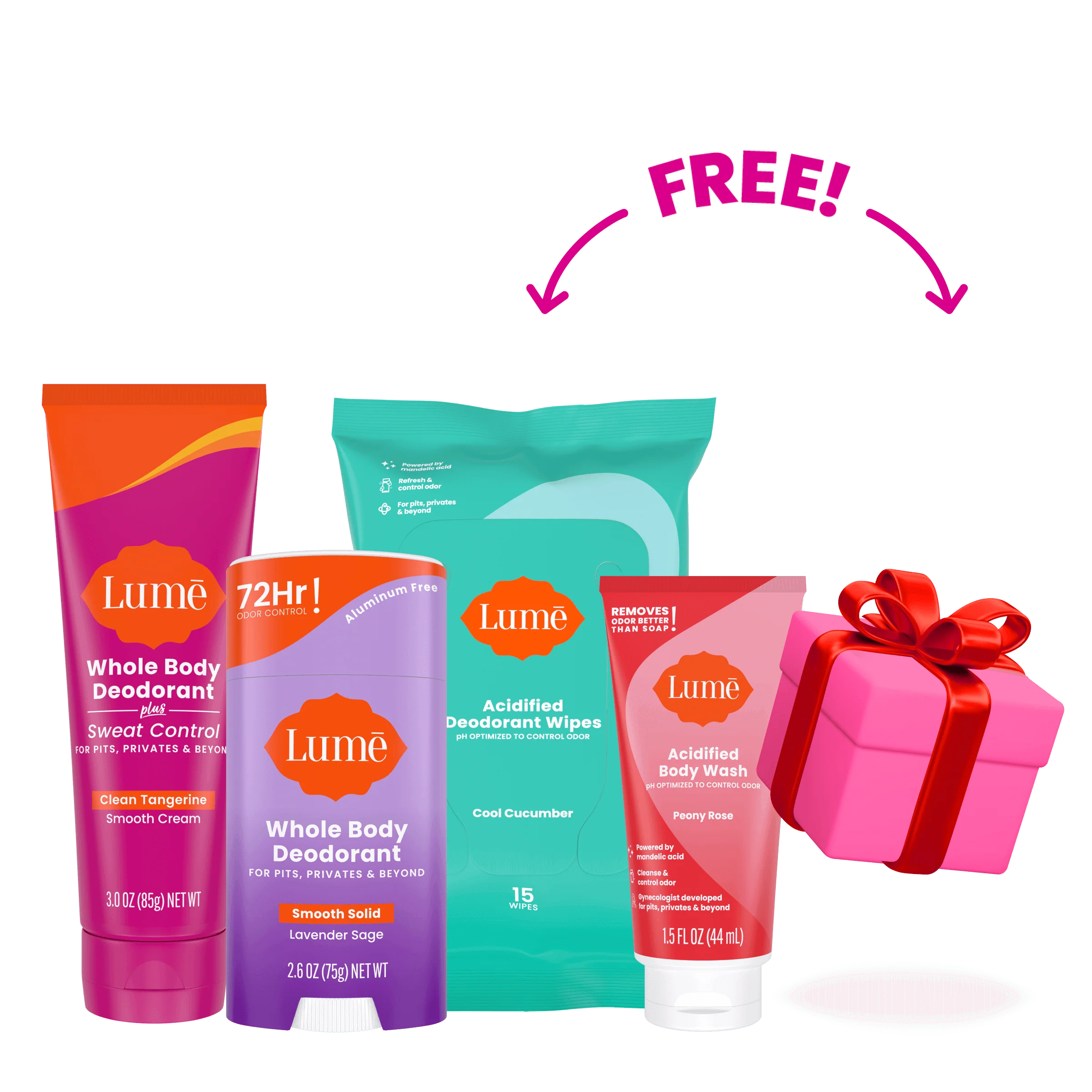 Holiday Starter Pack Item - Image 5